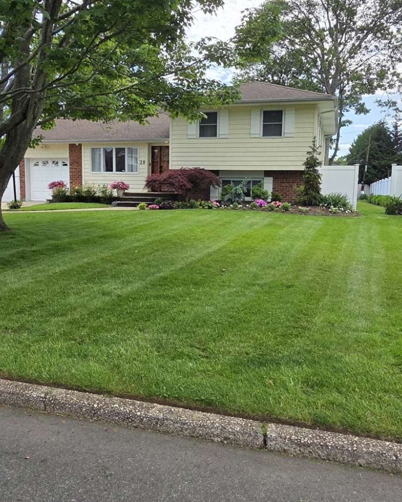 Freshly mowed front lawn with crisp parallel stripes in front of a split-level home with landscaped beds