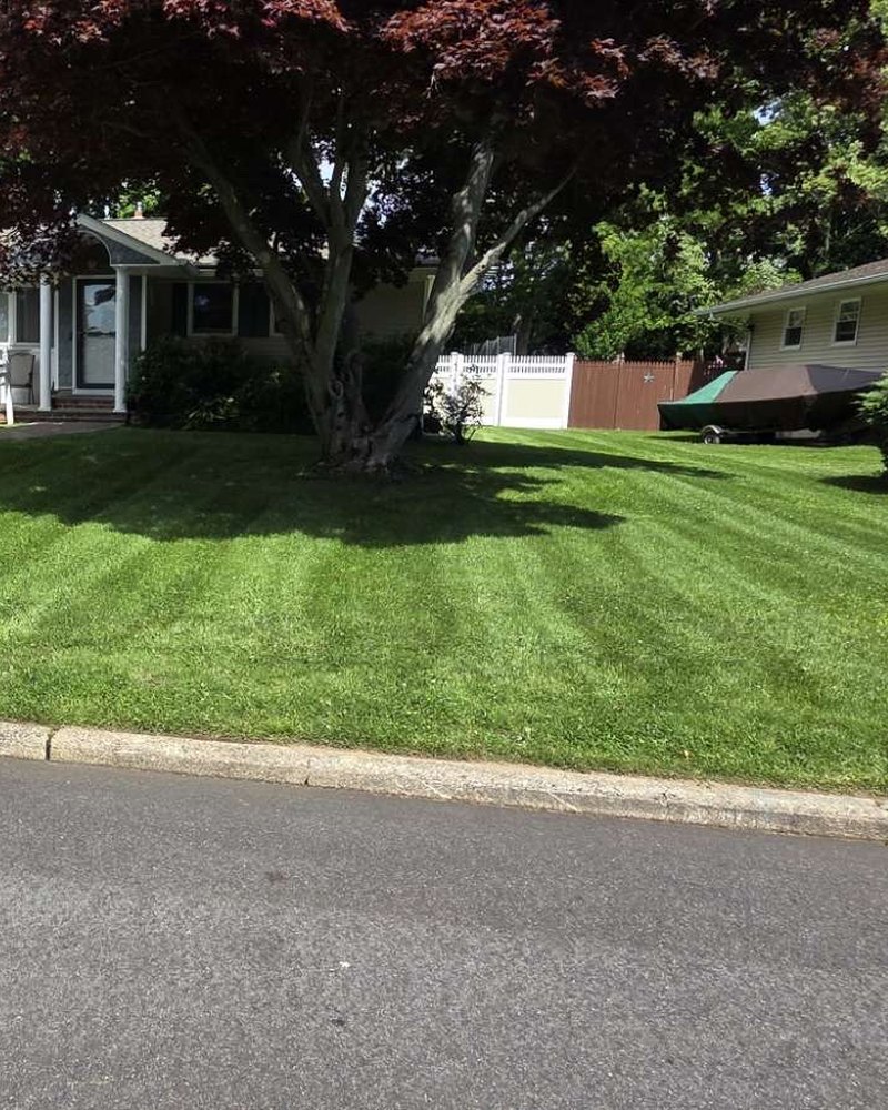 Striped front lawn with mature trees and a curving driveway