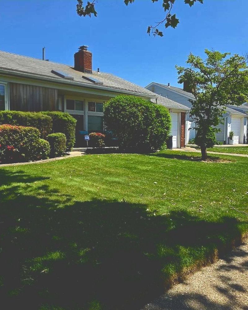 Ranch home with trimmed hedges, healthy lawn, and mature shrubs
