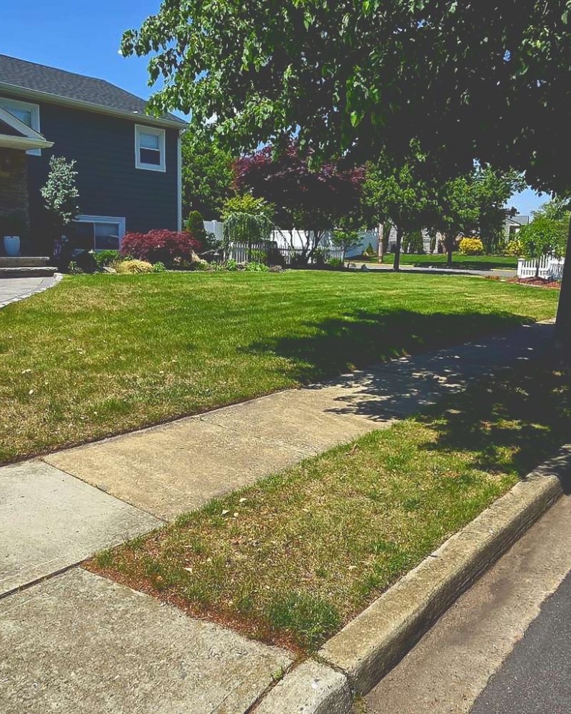 Tidy front yard with paver driveway and curbed planting beds